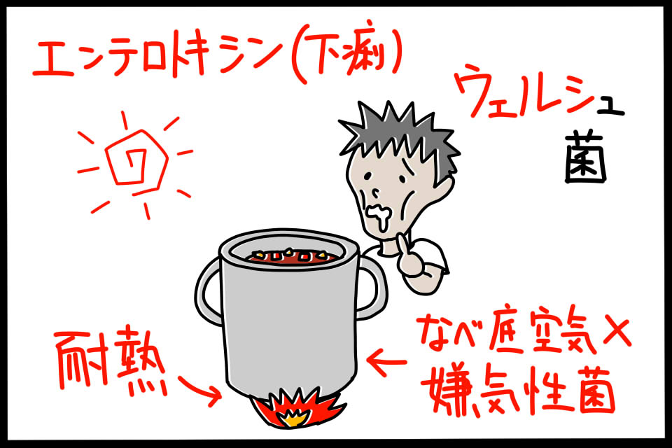 ウェルシュ菌の特徴を暗記できるゴロイラスト